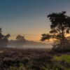 „Afrika“ – Bild 2