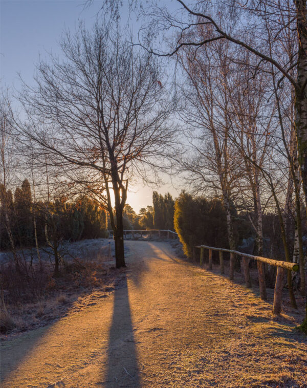„Der Weg“ – Bild 2
