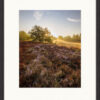 Fine Art Print „Misty Sunrise“